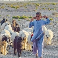 #Azeem_Jaan(_Ne_Os_Gaydan_Na_Godi_)(256k)