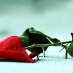 Not Broken Anymore Blue October Piano Cover