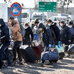 Украинцы являются последним резервом рабочей силы для Европы — Воскобойник