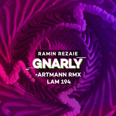 LAM194 : Ramin Rezaie - Gnarly (Artmann Remix)