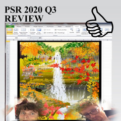 PSR 2020 Q3 REVIEW