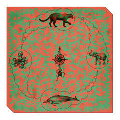 DC Promo Tracks #682: Puma & The Dolphin "Morning Plants"