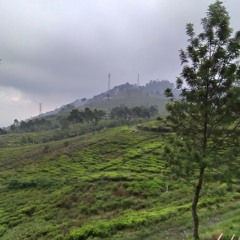 Jejak - Pamungkas (cover)