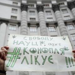 Это должна решить не бумажка, а медицинское сообщество — врач о легализации медицинского каннабиса