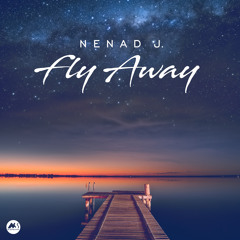 Nenad J. - Night Flight (Original Mix)