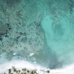 شتموك يابدر الهدى