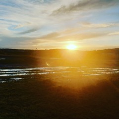 Uh huh- (Jade Bird Cover)