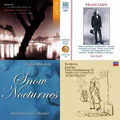 Romantic Piano Love (Mozart, Beethoven, Chopin, Liszt, Mendelssohn, Schubert, Beneking)