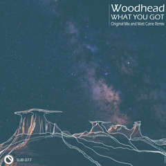 Woodhead - What You Got (Matt Caine Remix)