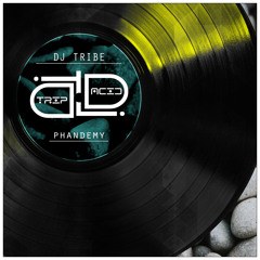 Dj Tribe - Phandemy (Original Mix) CUT