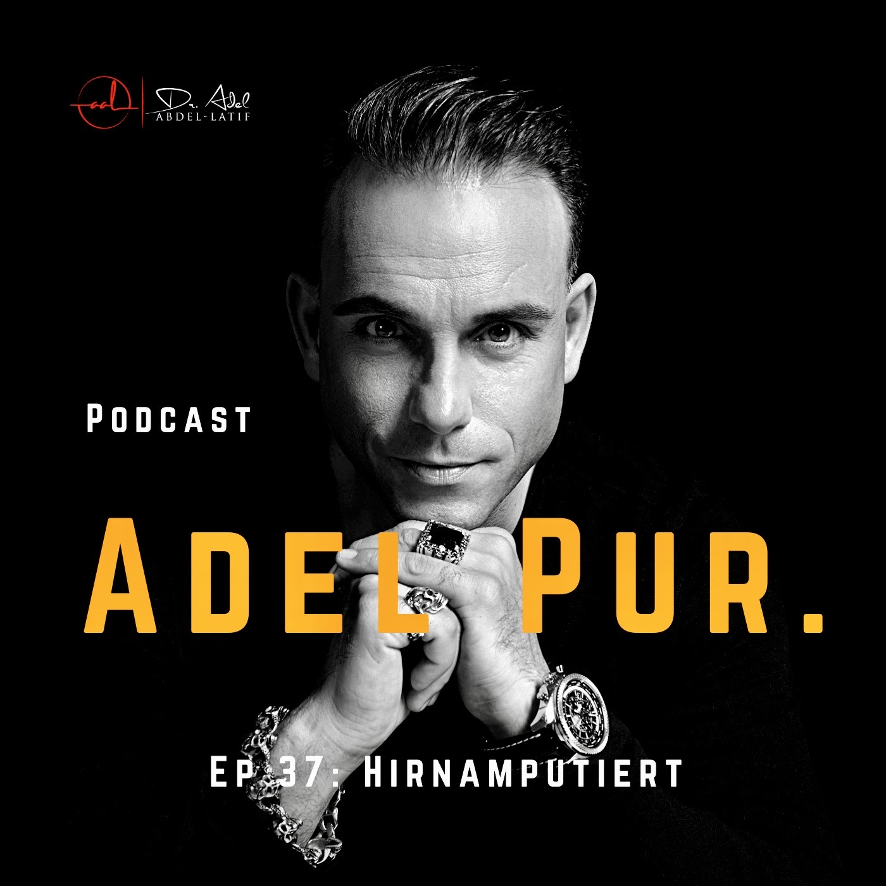 Erfolg ist kein Zufall - der Podcast der Dich richtig durchstarten lässt!
