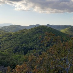 mélodie du bonheur .mp3