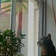 Harvest Moon (cover)