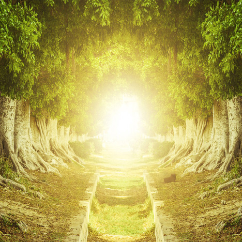 Why Hope Is a Strategy