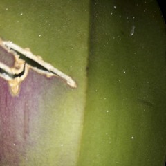 You've Got The Music In You