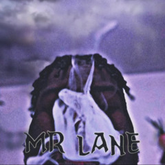 TopOpp Si - Mr Lane