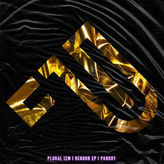 Plural_izm - Reborn (Original Mix)- [PANIK]