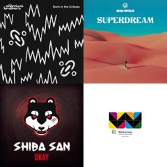 Electronic / House