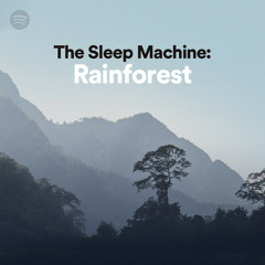 The Sleep Machine: Rainforest