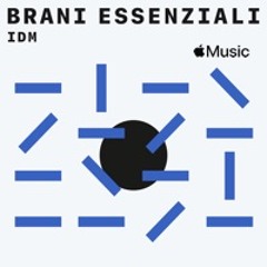 IDM: brani essenziali