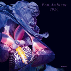 Pop Ambient 2019-2020