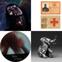 thw wire 2017