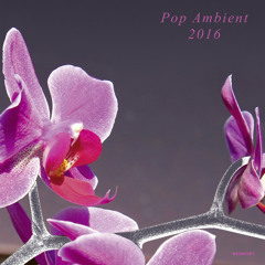 Various Artists – Pop Ambient 2016