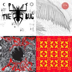 The Bug