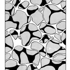 Boris Brejcha's track IDs