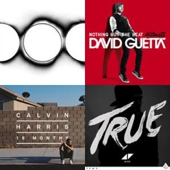 EDM CLASSICS - Best Eletro Festival Hits Avicii David Guetta Calvin Harris Martin Garrix Hardwell