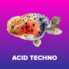 Acid Techno