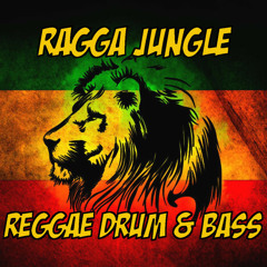 Ragga Jungle & Reggae Drum 'n' Bass
