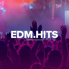 EDM Hits 2012-2021