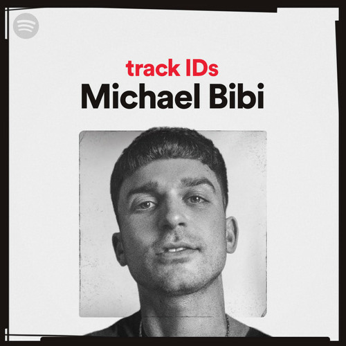 Michael Bibi's track IDs