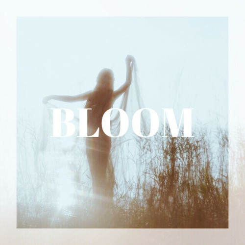 Stream dylt11 Listen to bloom by the paper kites playlist online for