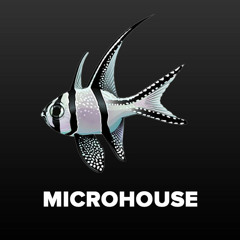 Microhouse