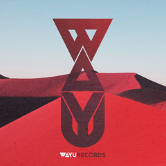 Organic House / Ethno House (Deep Playa Burning Man, Bedouin, Lee Burridge, Monolink, Playa Tech)