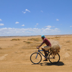 Punta Gallinas