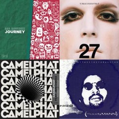 Spotify liked songs