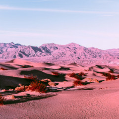 desert mix