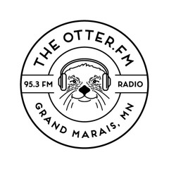 The Otter's Quarterly Report #2 - 2021