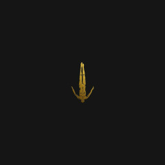 Afterlife Releases
