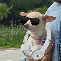 Lo q pincharía si fuera DJ hahah