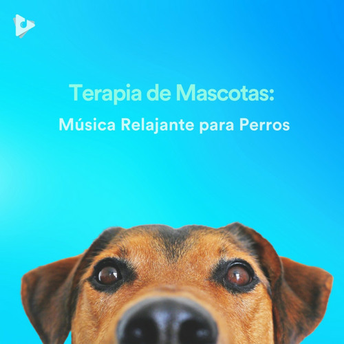 Stream 𝗹𝘂𝗹𝗹𝗶𝗳𝘆 | Listen to de Música Relajante para Perros playlist online for free on SoundCloud