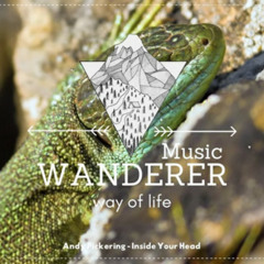 Best Indie/Pop/Folk/Rock/Alt Playlist of 2021 | Vol. 11 | WANDERER Music playlist