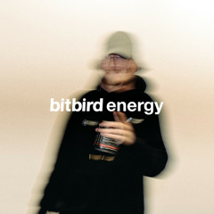 bitbird energy