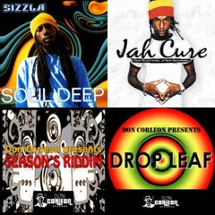 Seasons riddim!