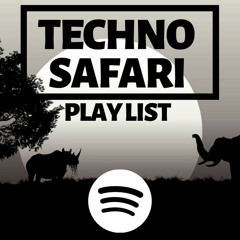 Techno Safari Tour (Drumcode, Pig&Dan, ANNA etc)