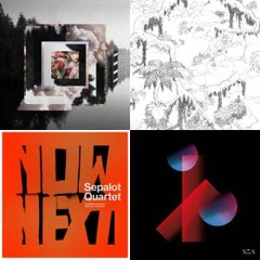 2021 Week 8