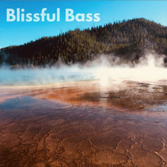 Blissful Bass